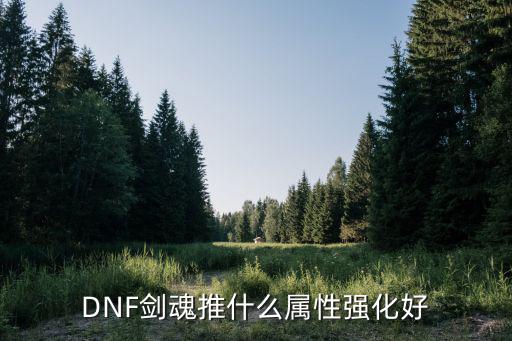 DNF剑魂推什么属性强化好