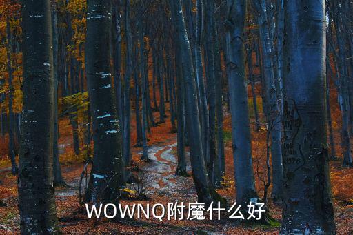 dnf魔兽附魔什么属性好，DNF附魔什么属性好