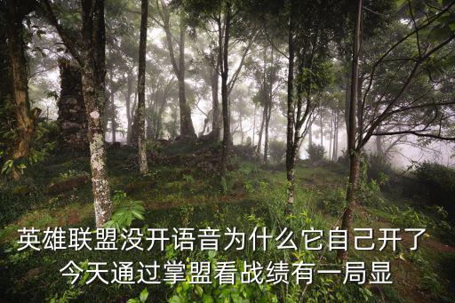 英勇联盟手游怎么看谁开了语音，为什么我的英雄联盟界面没有军团系统和开黑语音我在诺克萨斯
