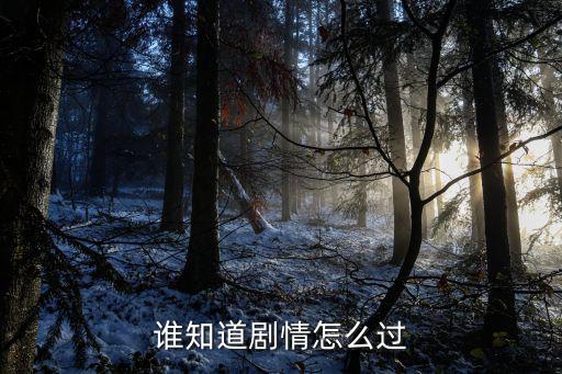 穿越手游岚兮儿剧情新增要怎么过，谁知道剧情怎么过