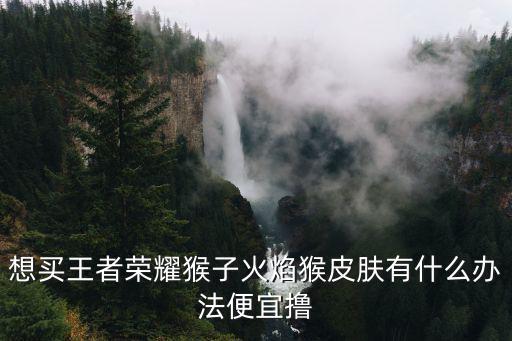 想买王者荣耀猴子火焰猴皮肤有什么办法便宜撸