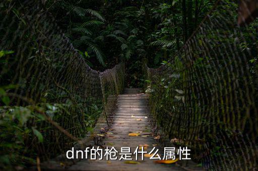 dnf的枪是什么属性