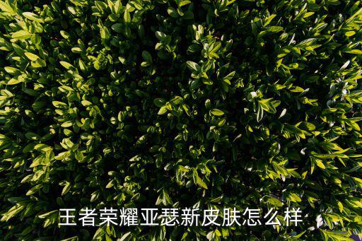 王者荣耀亚瑟新皮肤怎么样