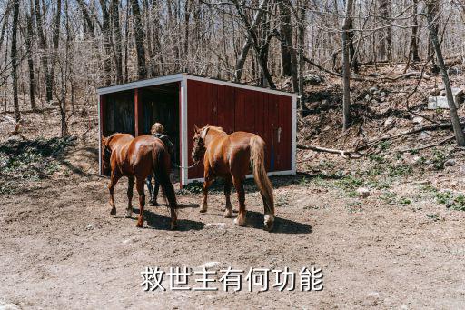 救世主有何功能