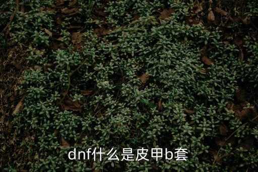 dnf重甲b套什么属性，DNF决斗胜点重甲套属性