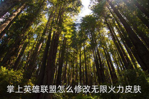 掌上英雄联盟怎么修改无限火力皮肤