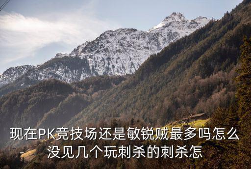 现在PK竞技场还是敏锐贼最多吗怎么没见几个玩刺杀的刺杀怎