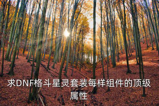 求DNF格斗星灵套装每样组件的顶级属性