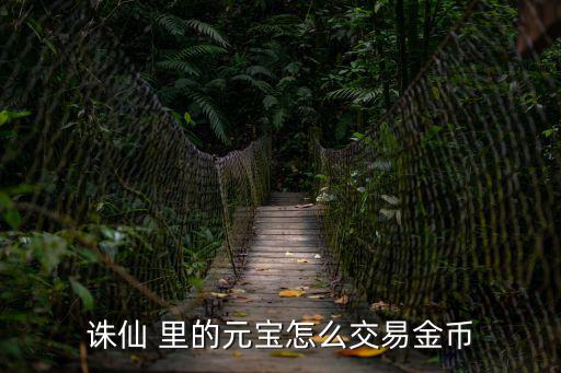 诛仙手游金币怎么买卖，诛仙 里的元宝怎么交易金币