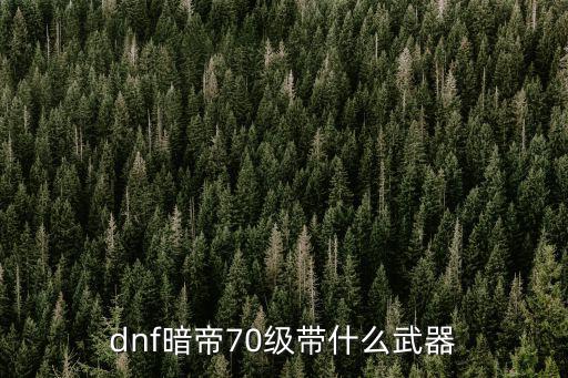 dnf暗帝70级带什么武器