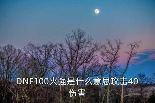 dnf火属性是什么意思，DNF100火强是什么意思攻击40伤害