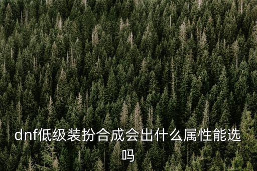 dnf低级装扮合成会出什么属性能选吗