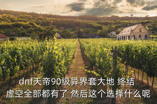 dnf天帝90级异界套大地 终结 虚空全部都有了 然后这个选择什么呢