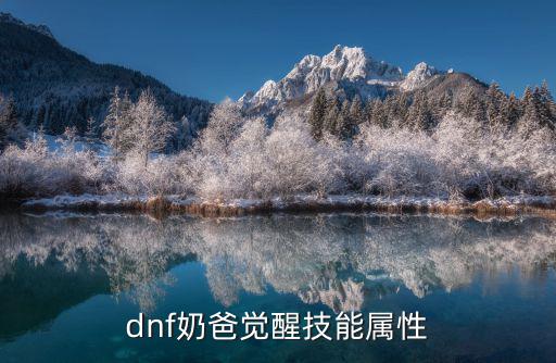 dnf奶爸觉醒技能属性