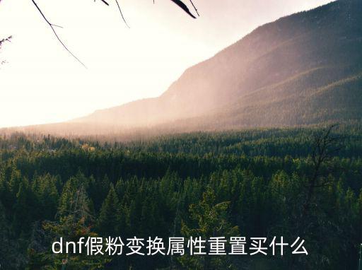 dnf假粉可以换什么属性，dnf假粉魔法石变换属性有哪些