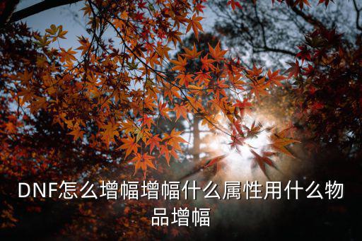 DNF怎么增幅增幅什么属性用什么物品增幅