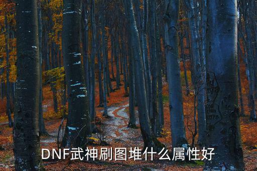 DNF武神刷图堆什么属性好