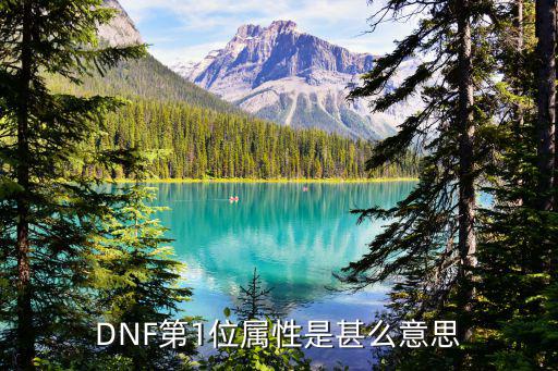 dnf第一孵化是什么属性，DNF第1位属性是甚么意思