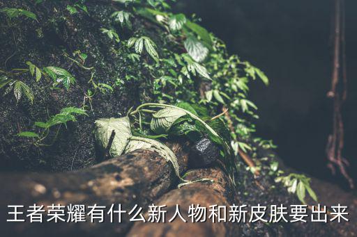 王者荣耀有什么新人物和新皮肤要出来
