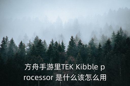 方舟手游里TEK Kibble processor 是什么该怎么用