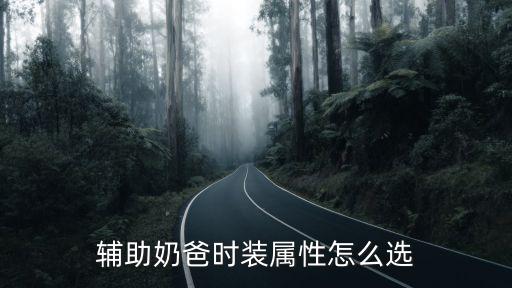 辅助奶爸时装属性怎么选