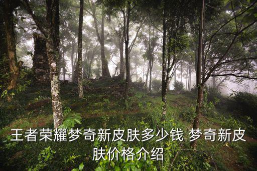 王者荣耀梦奇新皮肤多少钱 梦奇新皮肤价格介绍