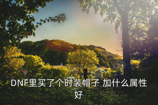 DNF里买了个时装帽子 加什么属性好