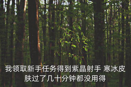 我领取新手任务得到紫晶射手 寒冰皮肤过了几十分钟都没用得