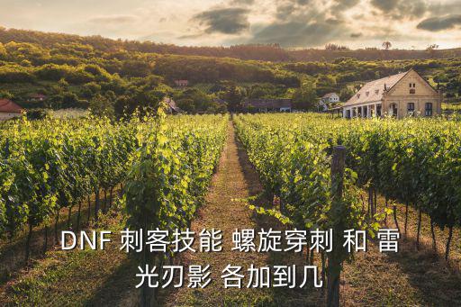 DNF 刺客技能 螺旋穿刺 和 雷光刃影 各加到几
