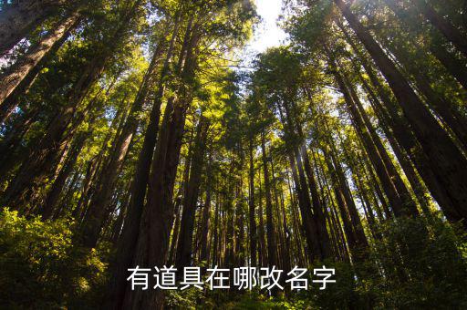 有道具在哪改名字