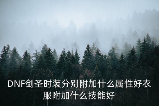 dnf剑宗时装加什么属性，剑宗时装8件套属性怎么选择