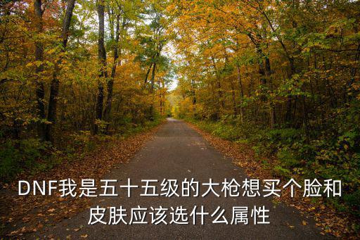 DNF我是五十五级的大枪想买个脸和皮肤应该选什么属性