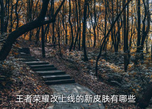王者荣耀智智新皮肤有哪些，王者荣耀有什么新人物和新皮肤要出来
