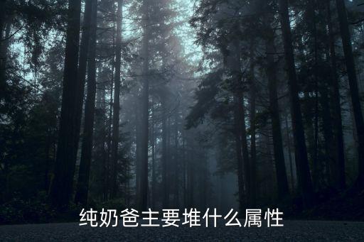 纯奶爸主要堆什么属性