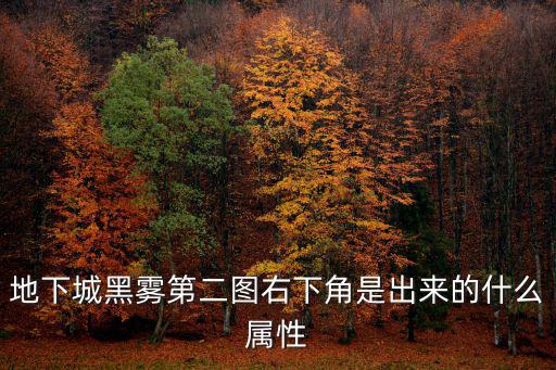 dnf打黑雾留什么属性，地下城黑雾第二图右下角是出来的什么属性