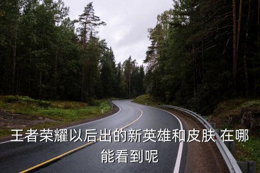 王者荣耀以后出的新英雄和皮肤 在哪能看到呢
