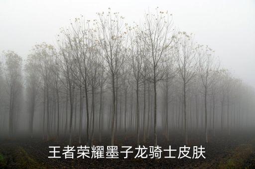 王者荣耀里的墨子新皮肤怎么画，王者荣耀墨子战斗暴龙兽皮肤