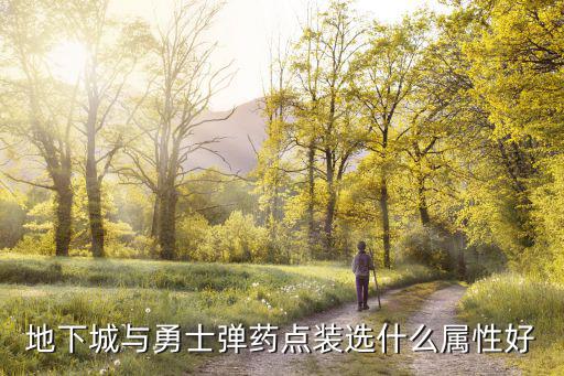 地下城与勇士弹药点装选什么属性好