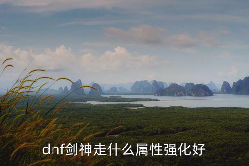 dnf剑神走什么属性强化好