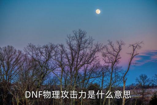 DNF物理攻击力是什么意思