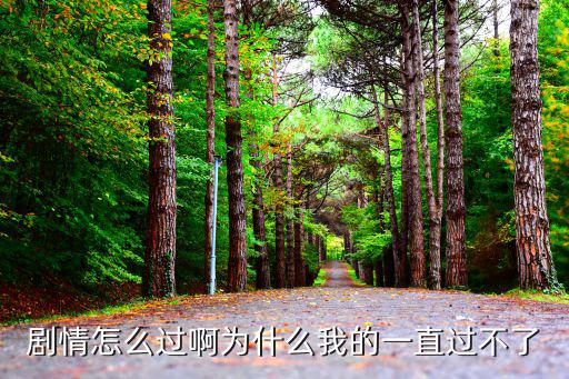 剧情怎么过啊为什么我的一直过不了