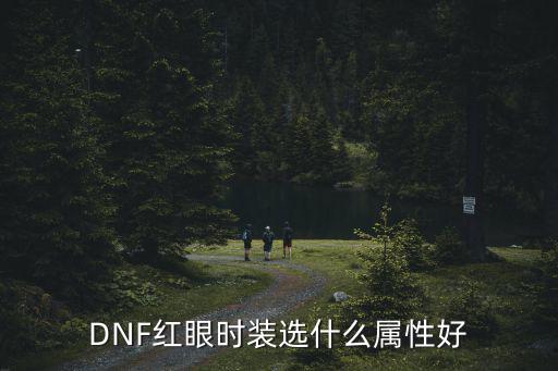 DNF红眼时装选什么属性好