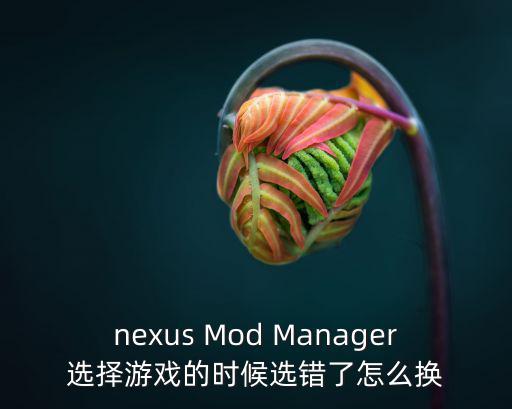 nexus Mod Manager选择游戏的时候选错了怎么换