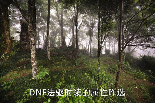 DNF法驱时装的属性咋选