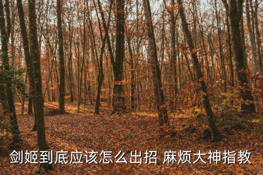 剑姬到底应该怎么出招 麻烦大神指教