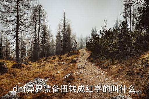 dnf异界装备扭转成红字的叫什么