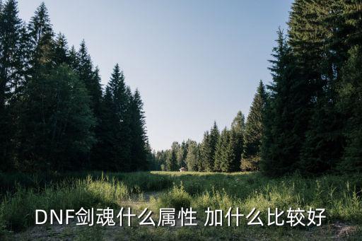 dnf剑魂最吃什么属性，DNF剑魂什么属性好