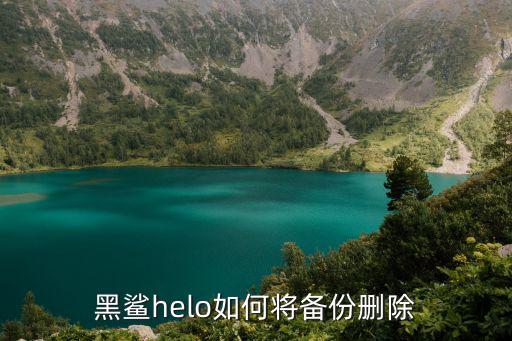 黑鲨helo如何将备份删除