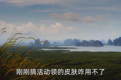 刚刚搞活动领的皮肤咋用不了