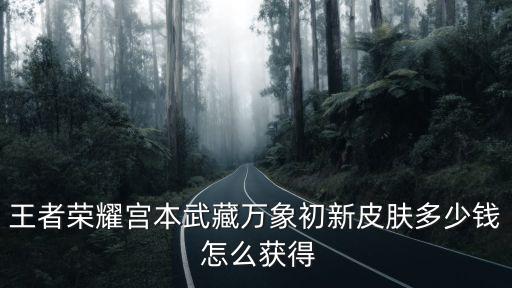 王者荣耀宫本武藏万象初新皮肤多少钱 怎么获得